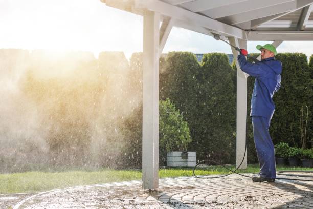 Best Graffiti Removal  in Brinckerhoff, NY